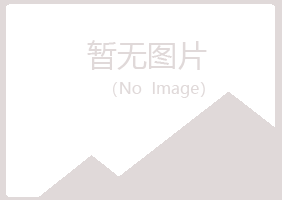 三门峡敷衍化学有限公司